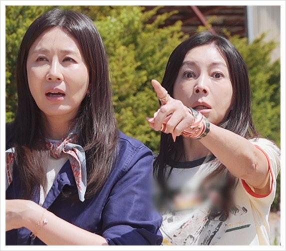  김승수 고백 거절한 양정아, 두 번 이혼한 황신혜와 동거 시작한 충격 이유(황신혜의같이삽시다)