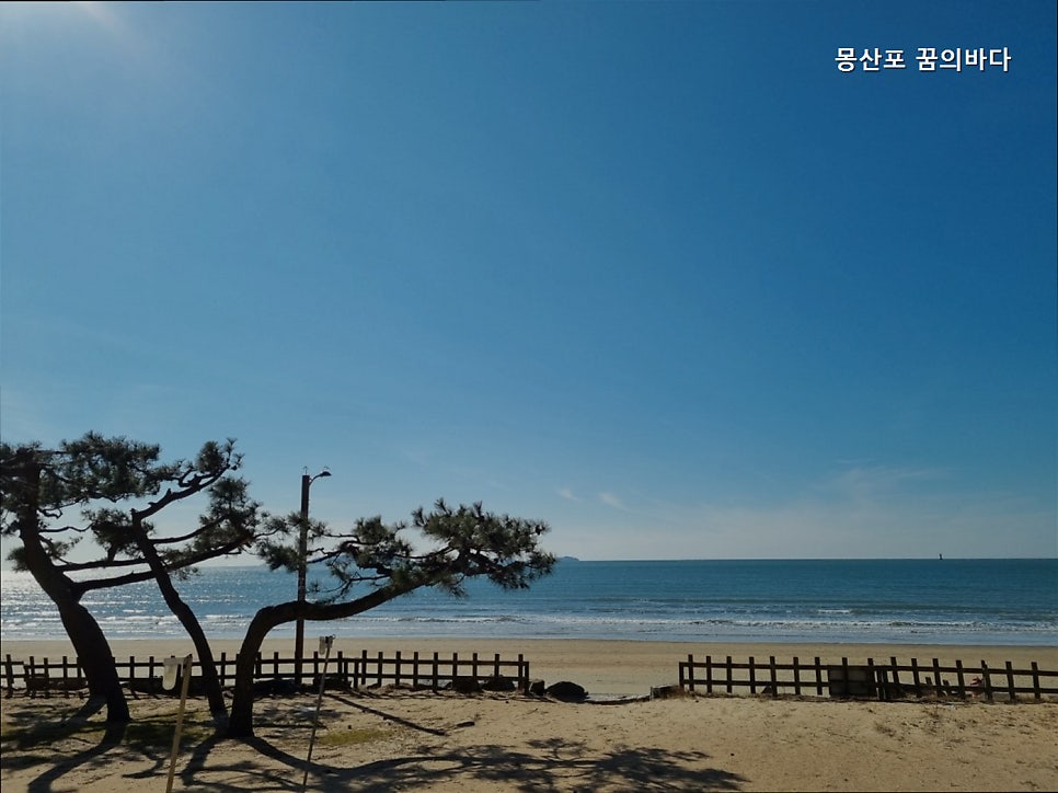 몽산포 꿈의바다 사진 1