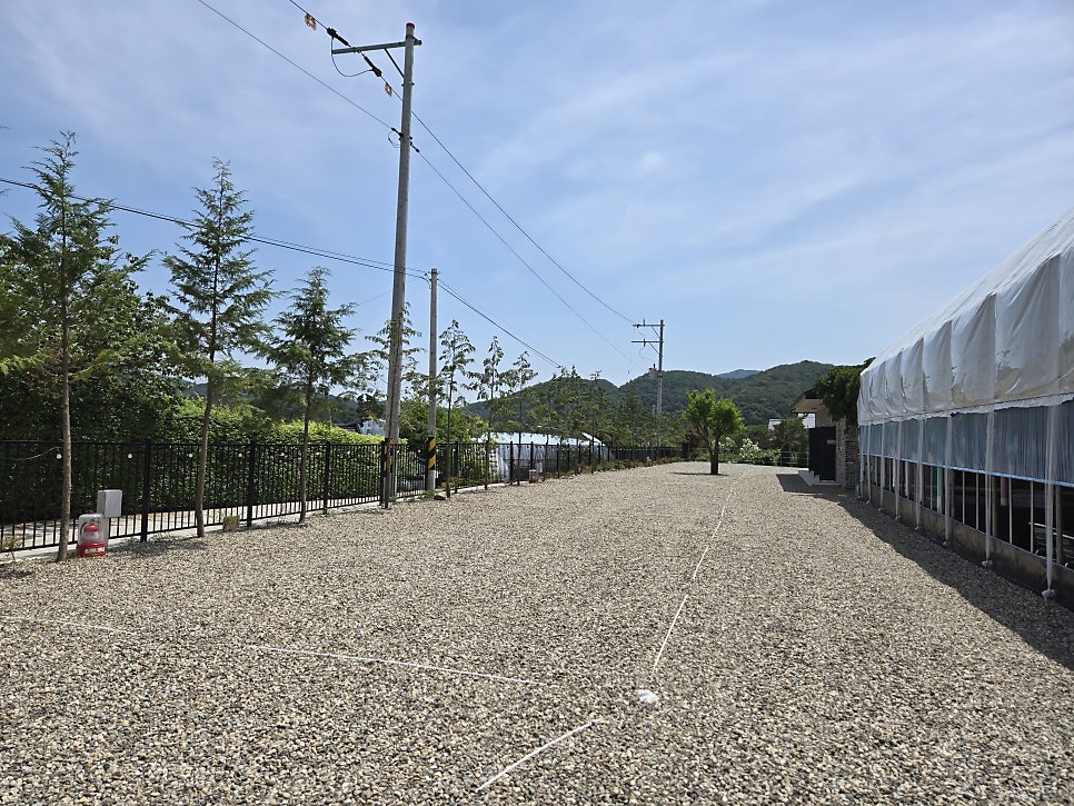이숲캠핑장 사진 3