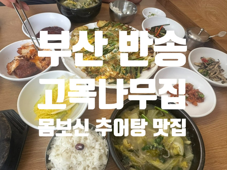 고목나무집 사진 1