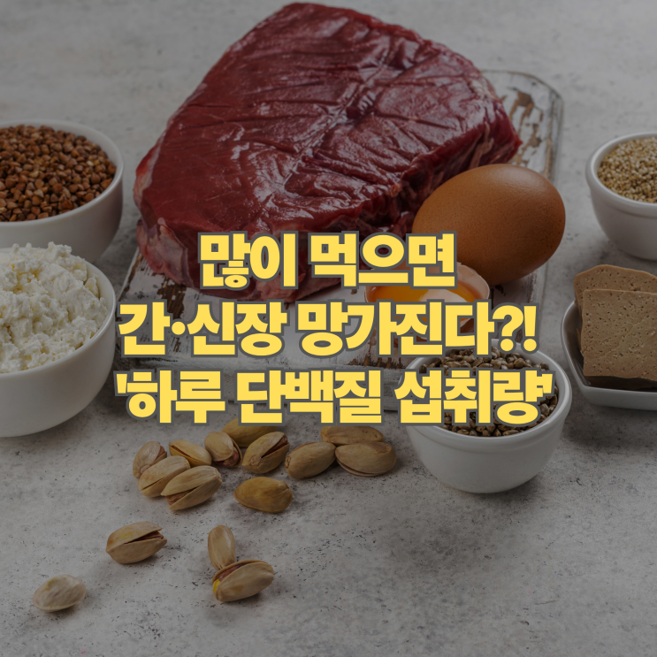  많이 먹으면 간, 신장 망가진다? 나에게 딱 맞는 하루 단백질 섭취량 계산법