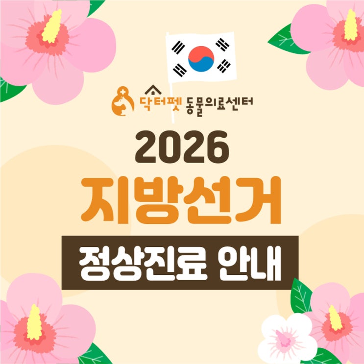  닥터펫동물의료센터 2026년 6월 3일(수) 전국동시 지방선거 6일(토) 현충일 정상진료 안내 (부산 사상구 부산진구 개금 빨간날 24시 동물병원 강아지 고양이 응급실)