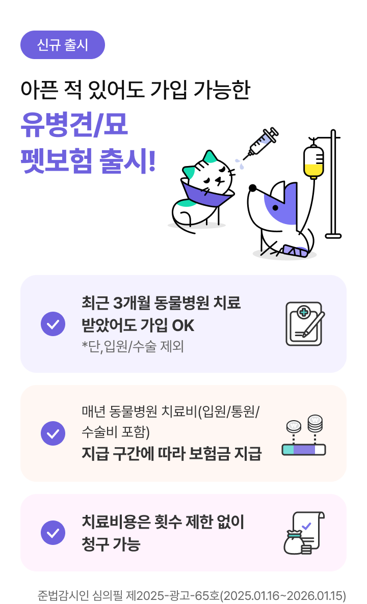 메리츠화재 펫보험 후기, 가입 전 꼭 보세요