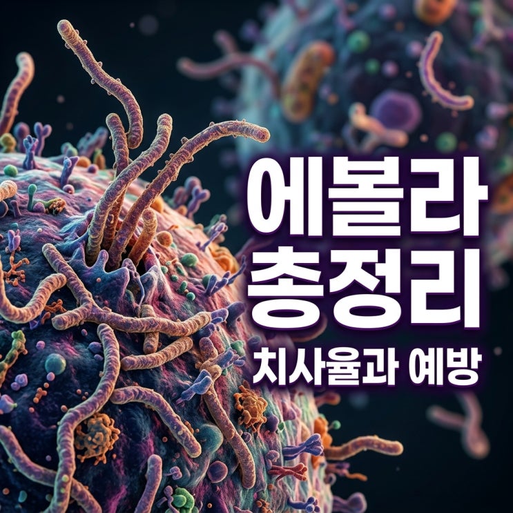  에볼라바이러스, 치사율과 증상, 국내 유입 가능성까지 총정리!