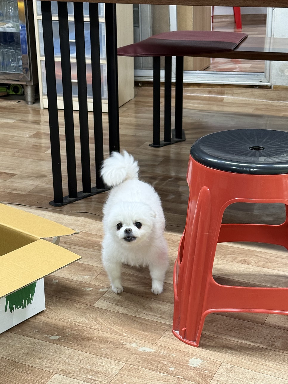 약수집 사진 3