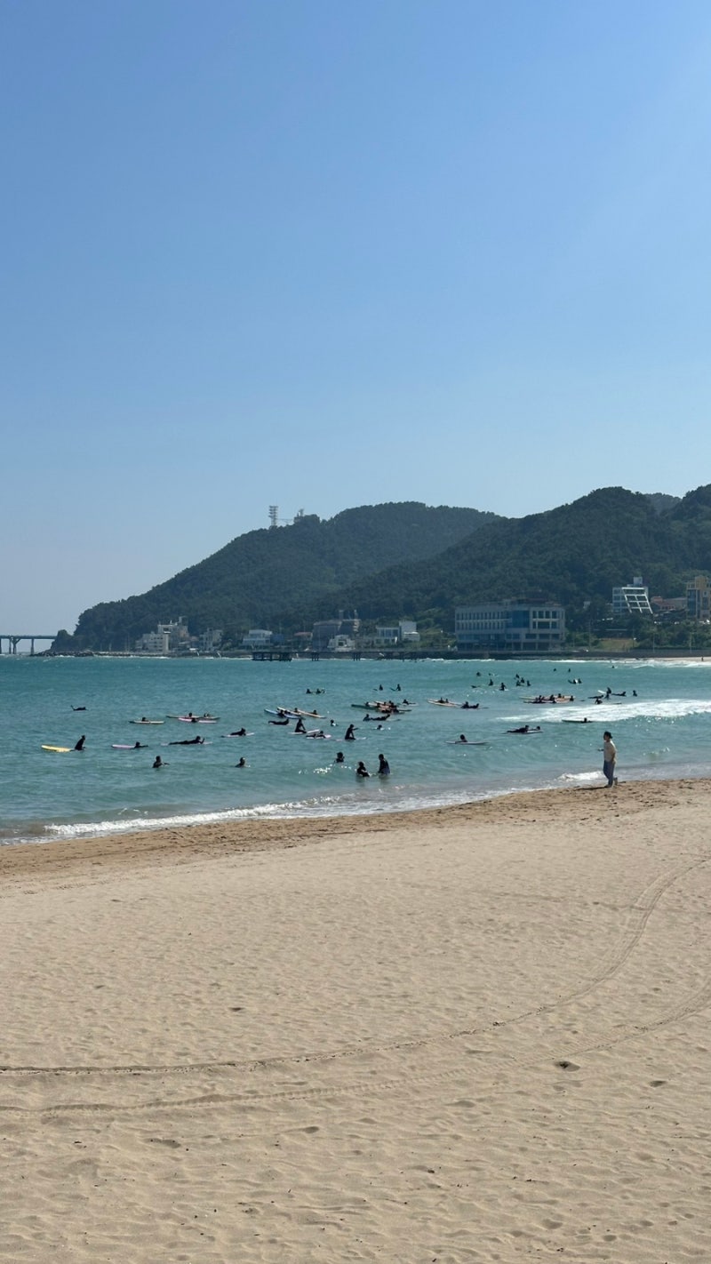 부산여행 송정역 송정해변열차 해운대블루라인파크 예매하기 송정정거장
