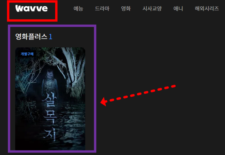  살목지 OTT 기다리던 이 영화 드디어 떴다, 어디서 볼 수 있을까?