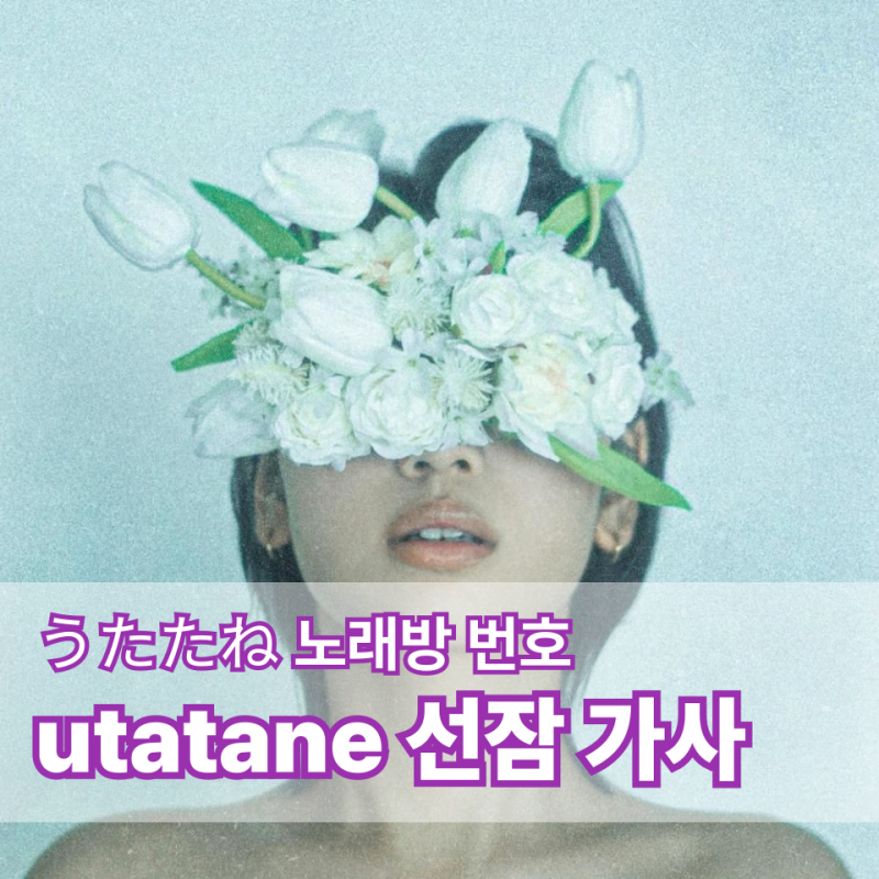 레이나 utatane 선잠 가사 うたたね Leina 노래방 번호