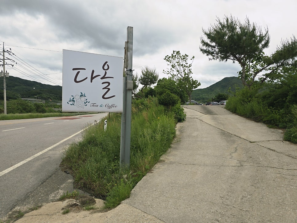 다올 사진 2