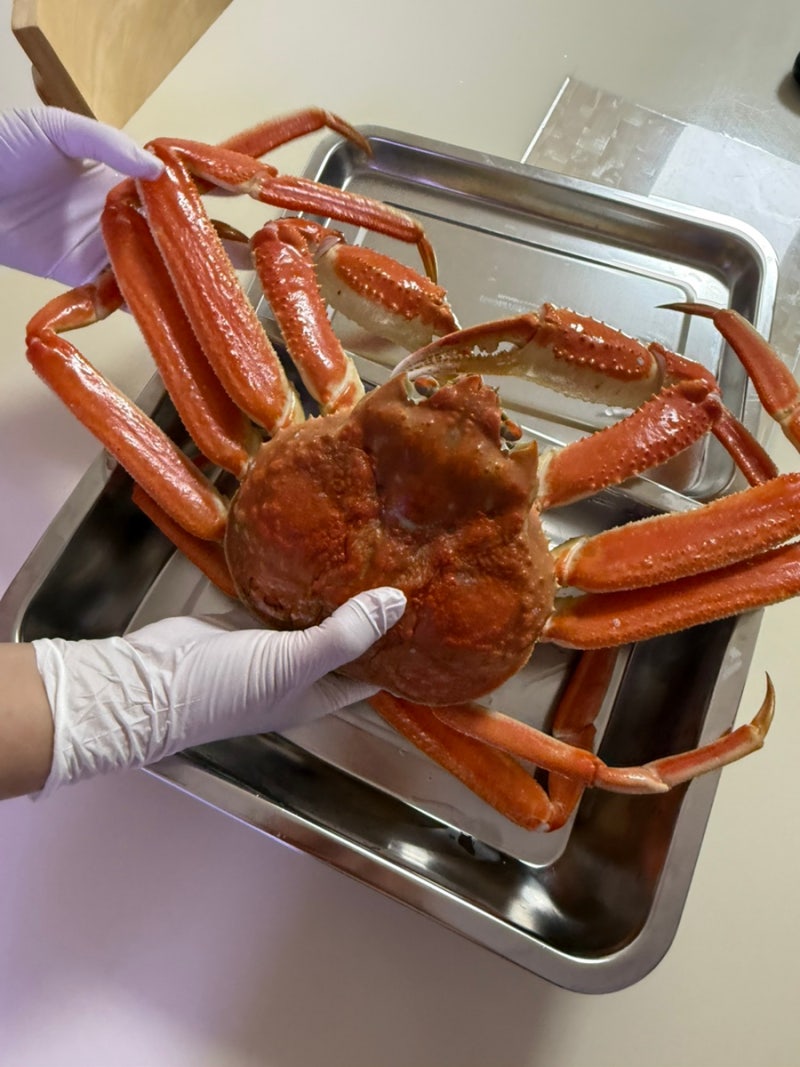 서울 강서 수산시장 러시아 대게 시세 시가 철 수율