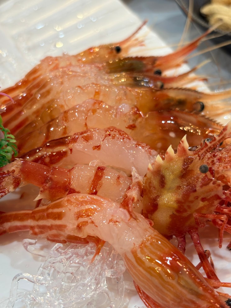  포항영일대맛집 현지인 추천 대게 독도 생새우 묵돌이 후기