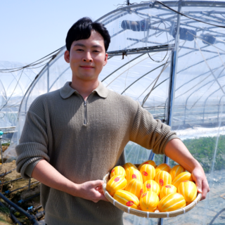  성주참외 꼬마 못난이참외 10kg - 실속 가정용 대용량