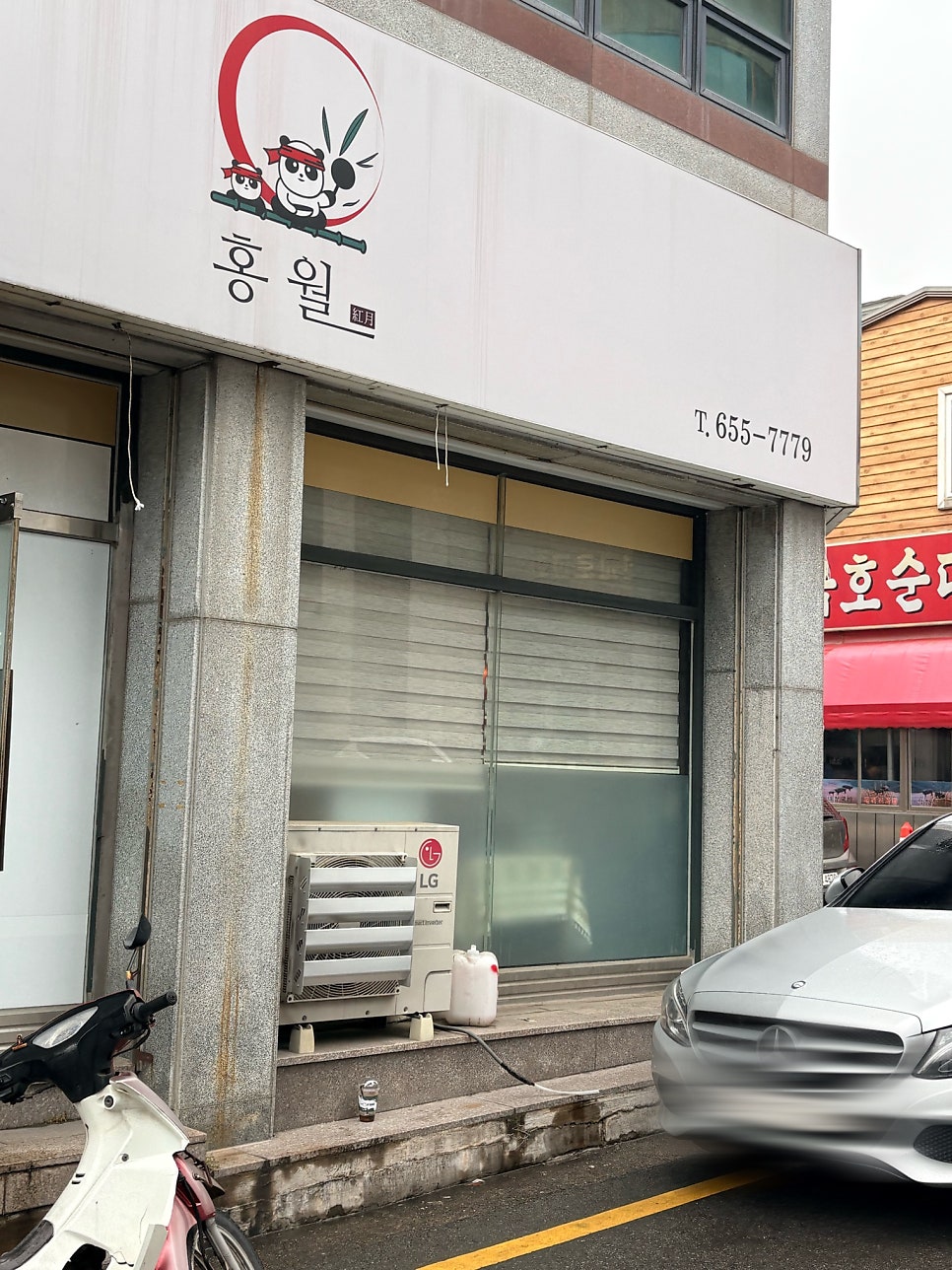 홍월 사진 2
