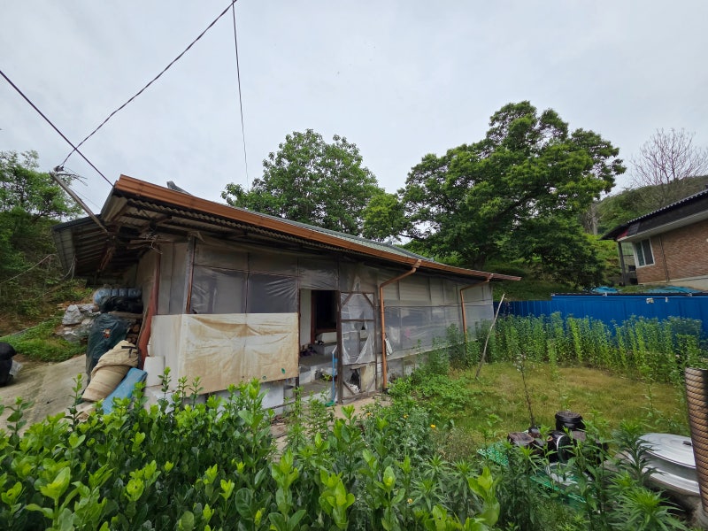 [답사기행]충남 부여군 시골집 목조 촌주택 한옥 리모델링 아담한 [중개종료]