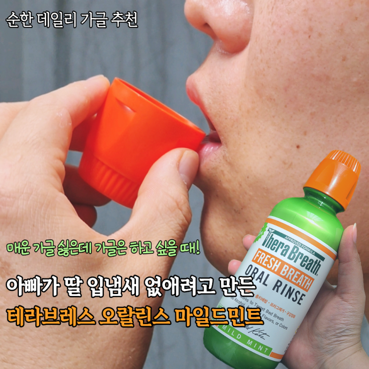  데일리 입냄새케어템 순한 가글추천 1위 테라브레스 마일드민트 회사필수템 후기