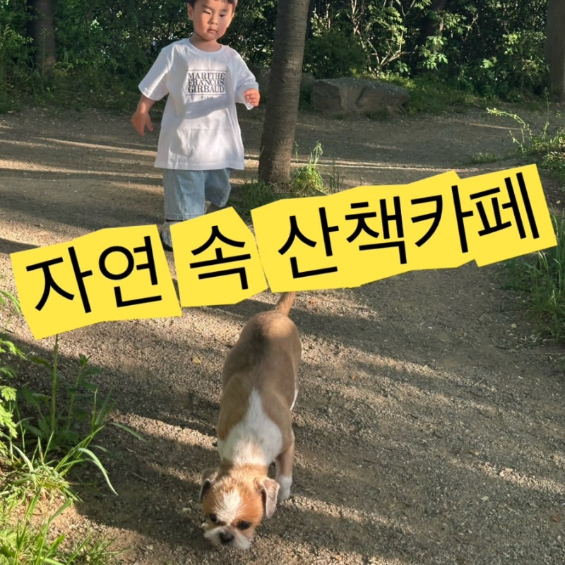 파주 아이랑 갈만한곳 힐링그라운드 애견카페 후기