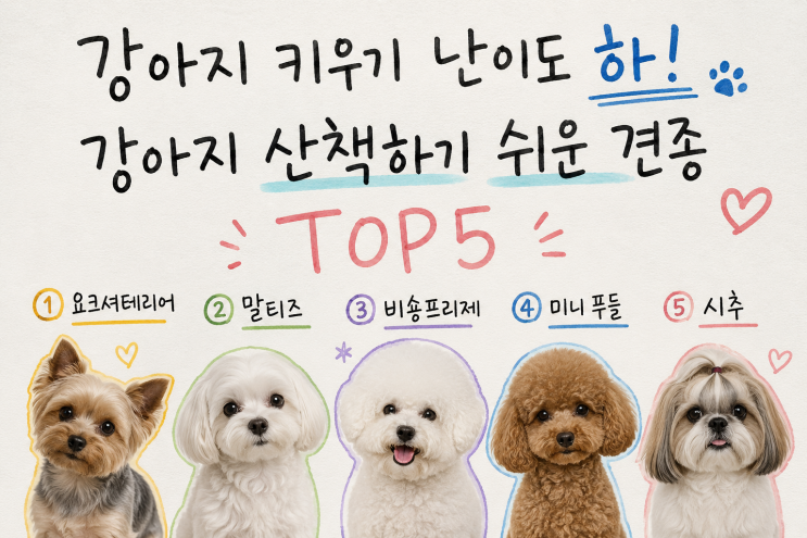 강아지 산책하기 쉬운 견종 TOP5, 강아지 키우기 난이도 하!