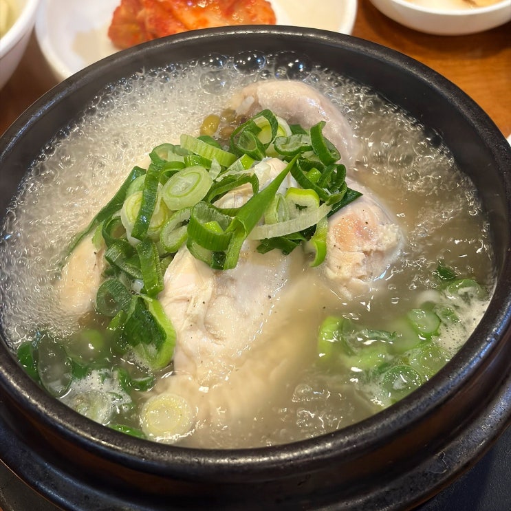  광주 금호지구 삼계탕 맛집 천지유삼계탕 몸보신 제대로 하고 온 후기