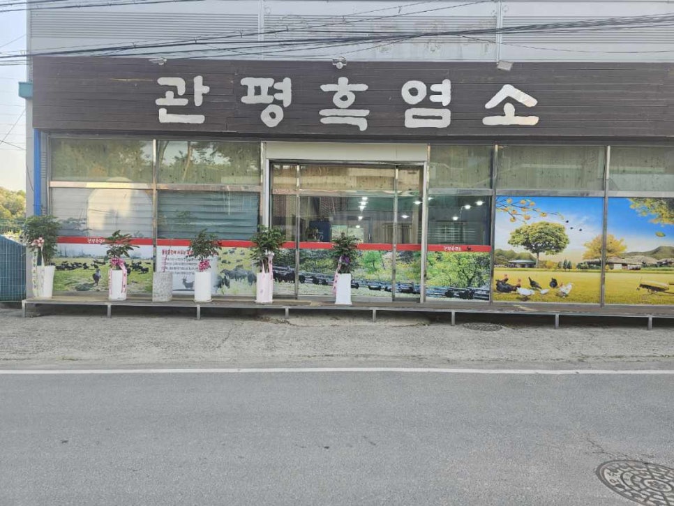 관평흑염소 사진 1