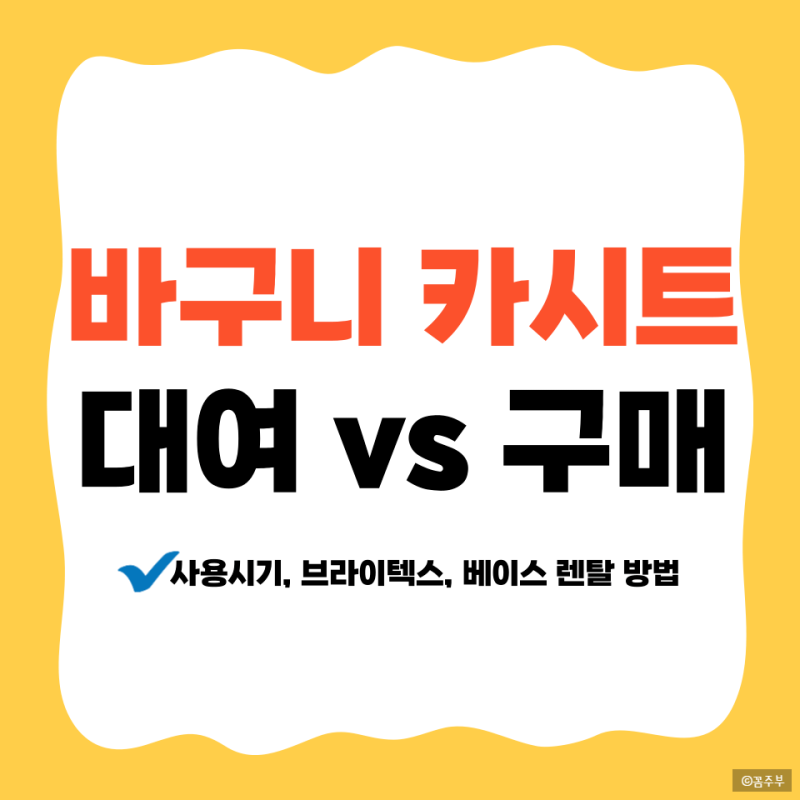 브라이텍스 바구니카시트 언제까지?구매 vs 대여, 베이스만 대여 꿀팁