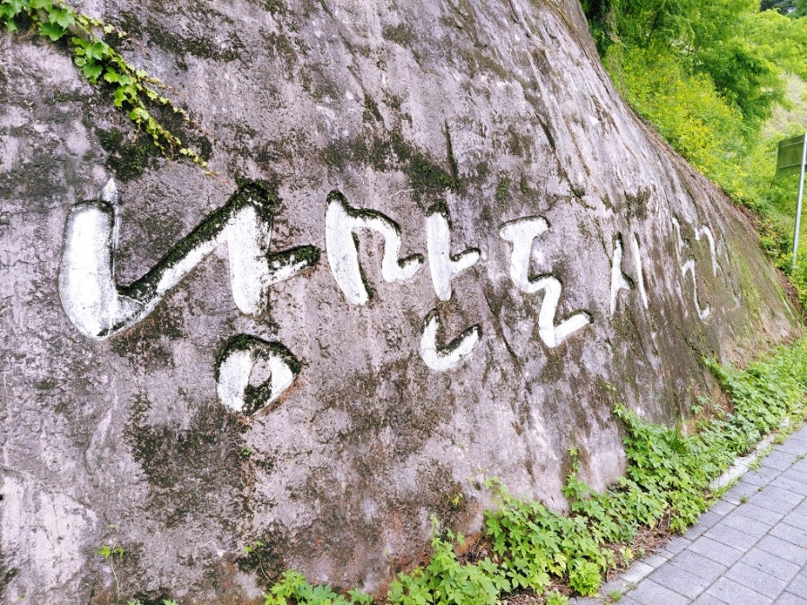 Mancheondaseulgihaejangguk photo 6