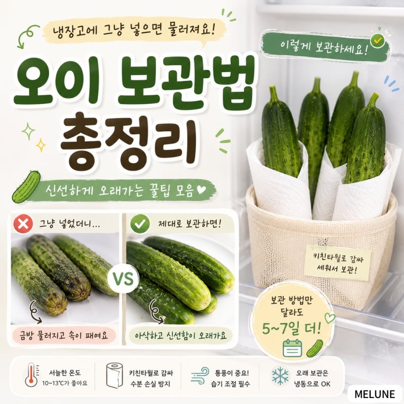 오이 보관법 | 냉장·실온·냉동 보관 차이 오래 신선하게 보관하기