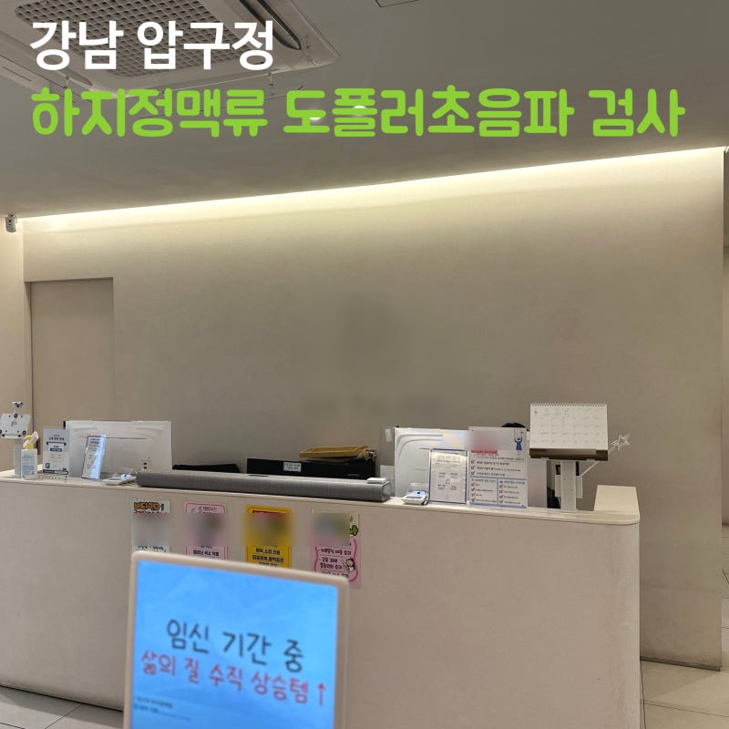 [REVIEW] 강남 압구정 "D의원" 하지정맥류 도플러초음파 검사 후기