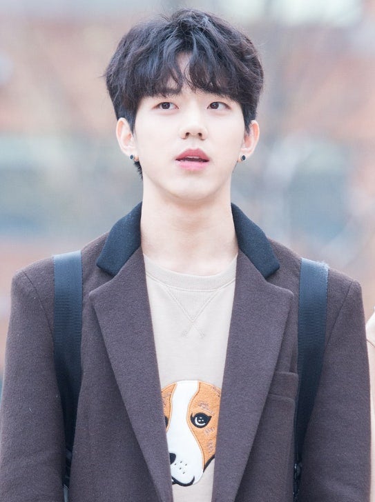 데이식스 도운 결혼설 논란 총정리, 팬들이 더 화난 진짜 이유는?