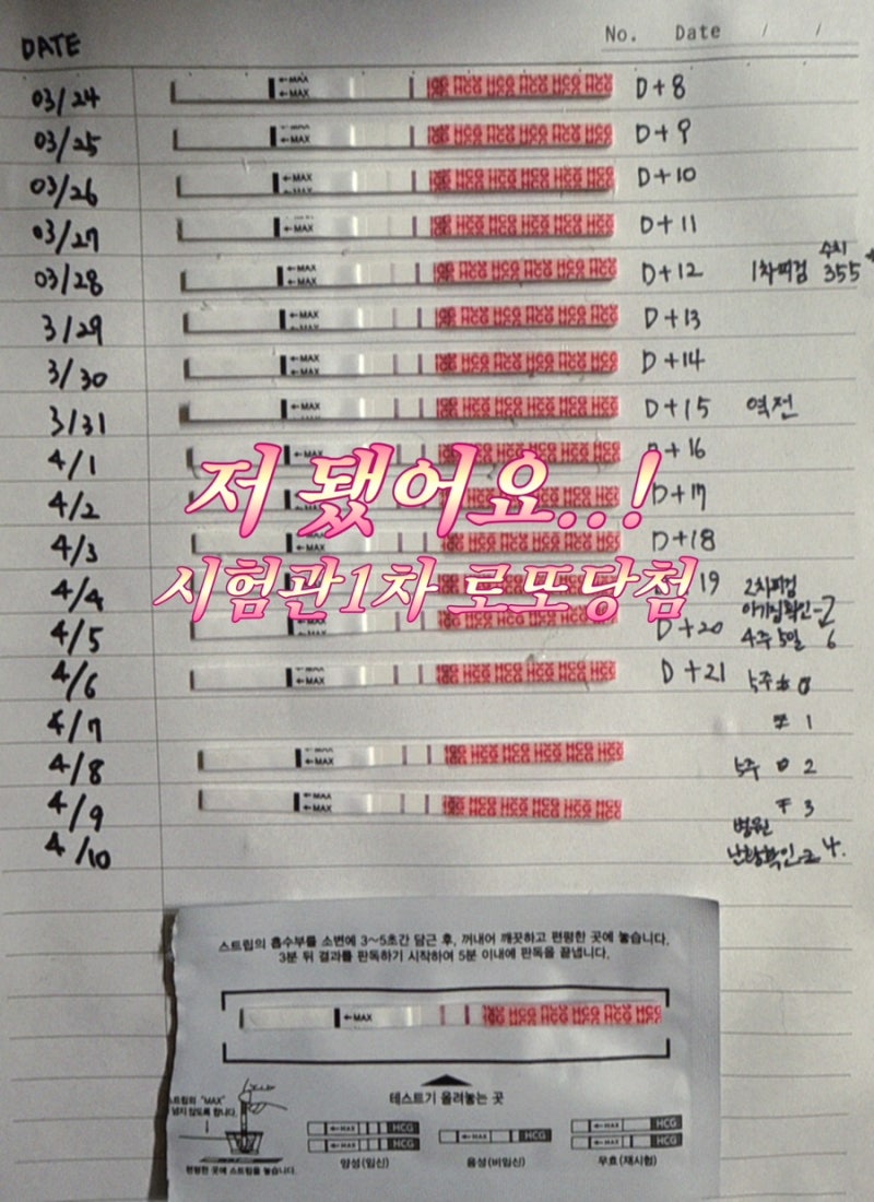 시험관 1차 로또당첨 ✶(근데이제 일상을 곁들인…)