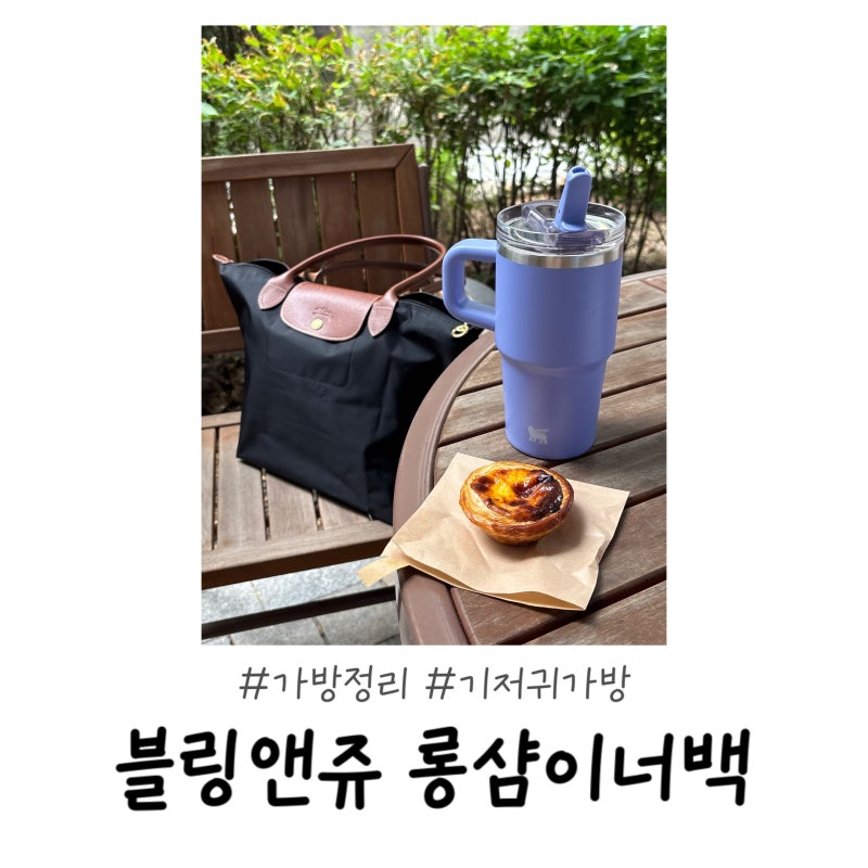 롱샴 르 플리아쥬 라지 이너백 추천♥︎ 가방 정리 끝판왕 블링앤쥬 사용후기 (feat. 기저귀가....