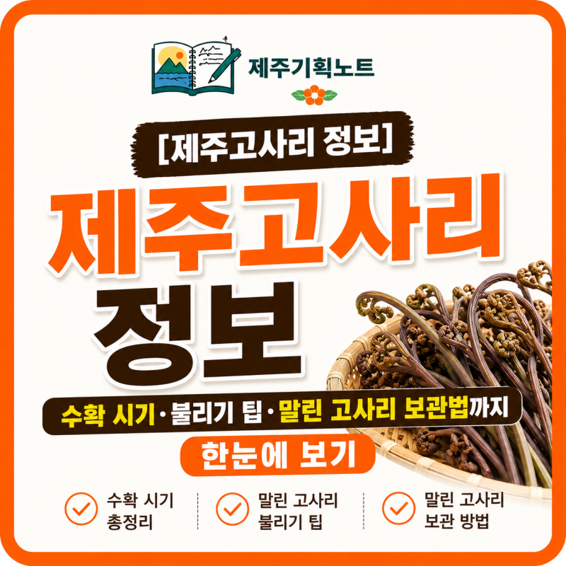 [제주고사리 정보] 수확 시기·불리기 팁·말린 고사리 보관법까지 한눈에 보기