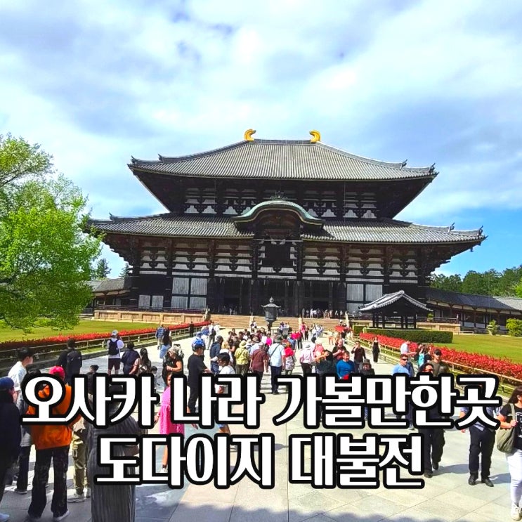  오사카 나라 당일치기 코스 도다이지 대불전 위치 입장료 시간 가볼만한곳