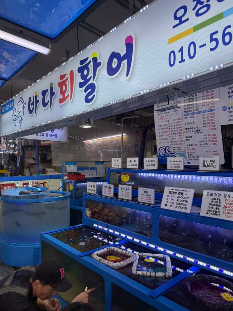 삼척여행(장호비치캠핑장) 방문후기