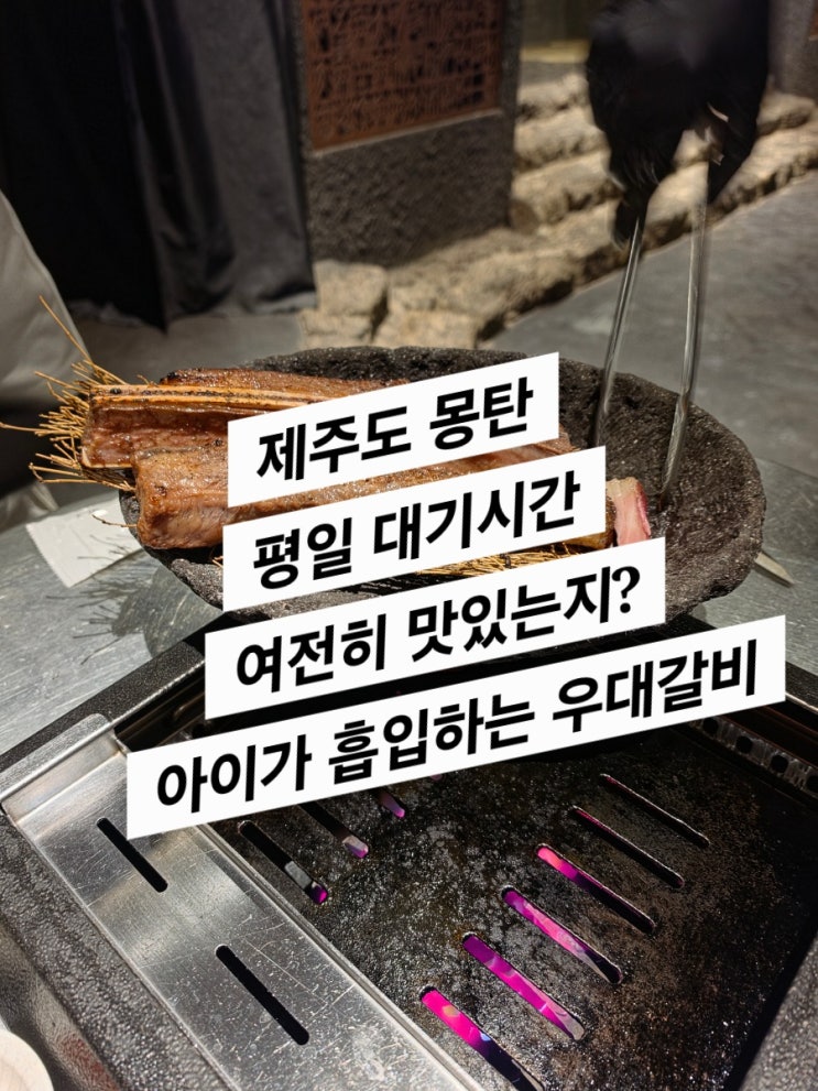 제주 5일차 (몽탄, 카멜커피,청보리밭)