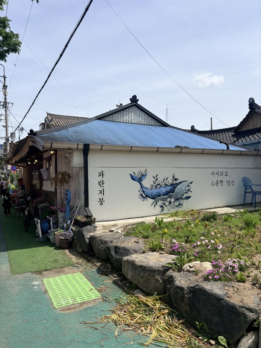 파란지붕 사진