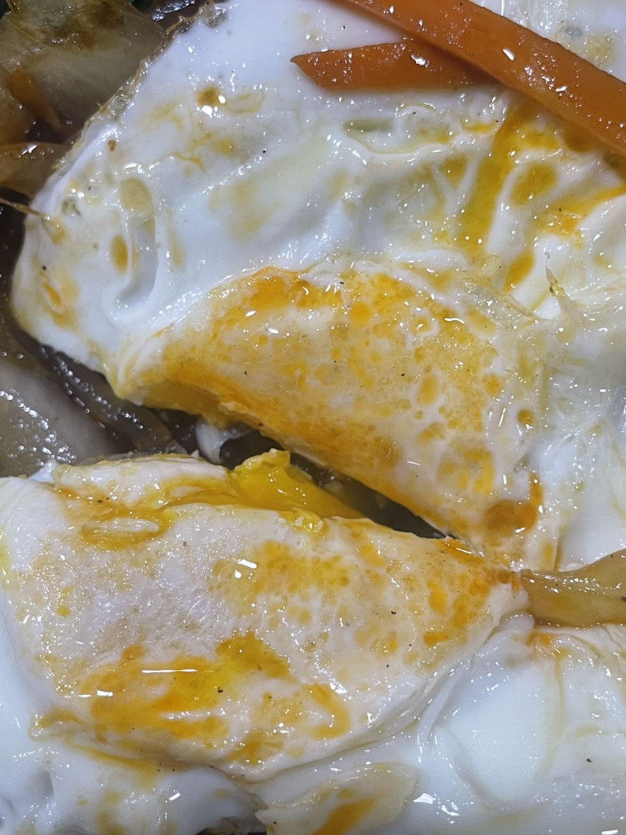 미래향 사진 5