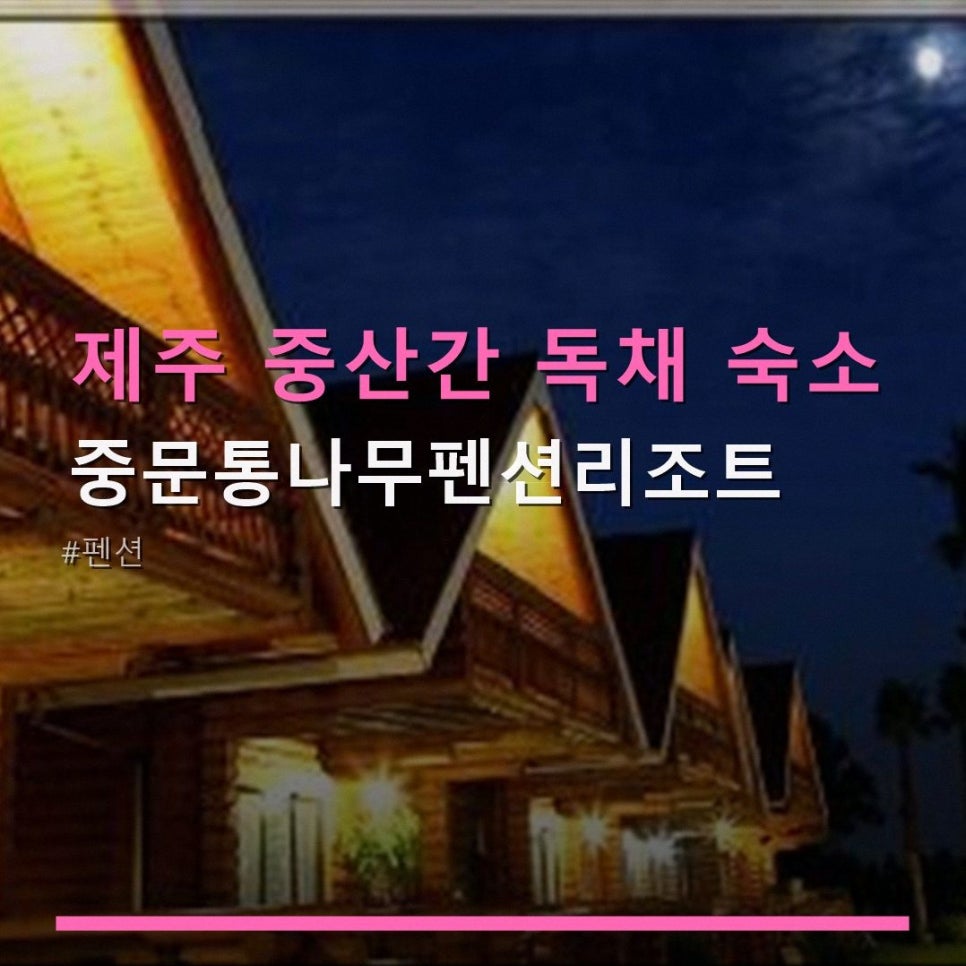 통나무펜션 사진 1