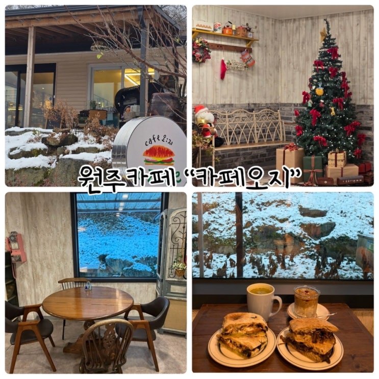  원주카페 "카페오지" 자연속 여유 가득한 브런치카페