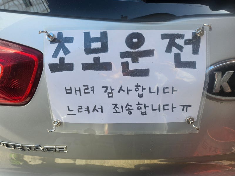 10년 장롱면허의 도전! 임산부 자차 운전연수 일기 2탄 (아찔했던 사고..)