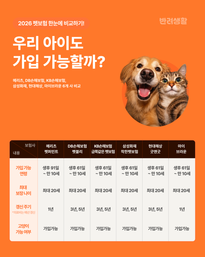 펫보험 비교 - 한눈에 이해되는 펫보험 비교 총정리 - 메리츠 펫퍼민트, DB손해보험, KB손해보....