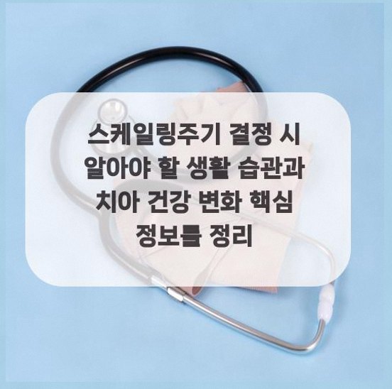  스케일링주기 결정 시 알아야 할 생활 습관과 치아 건강 변화 핵심 정보를 정리