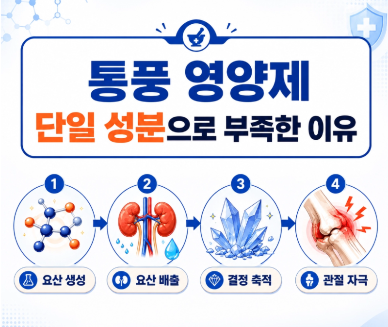 통풍영양제, 단일 성분으로 부족한 이유 — 4단계 퓨린 컷팅