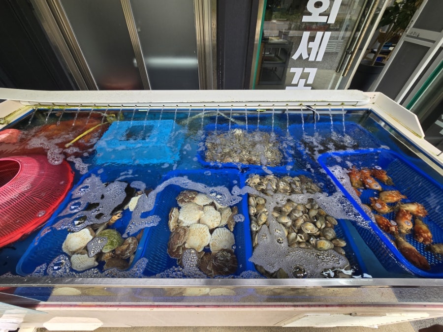 바다회세꼬시 사진 5