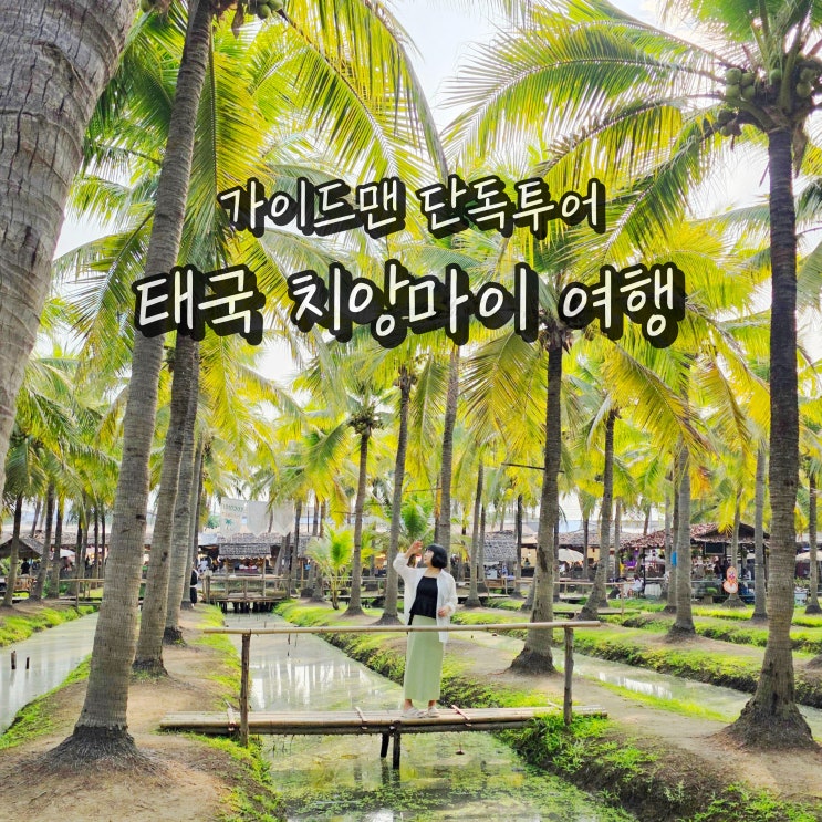  태국 치앙마이 자유여행 일정 단독차량 프라이빗 패키지 경비