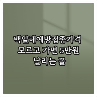 백일해예방접종가격 모르고 가면 5만원 날리는 꼴