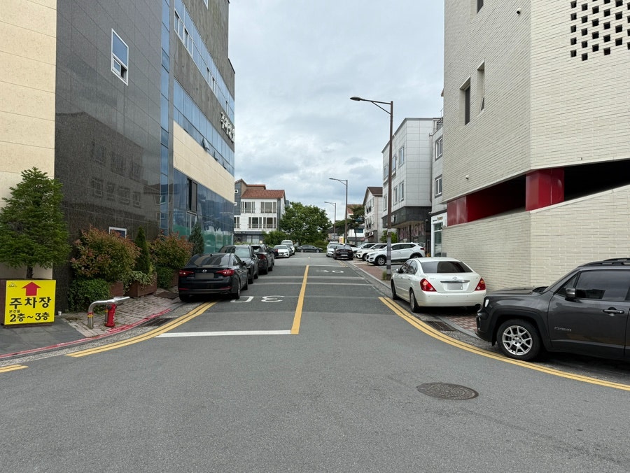 해미연 사진 5