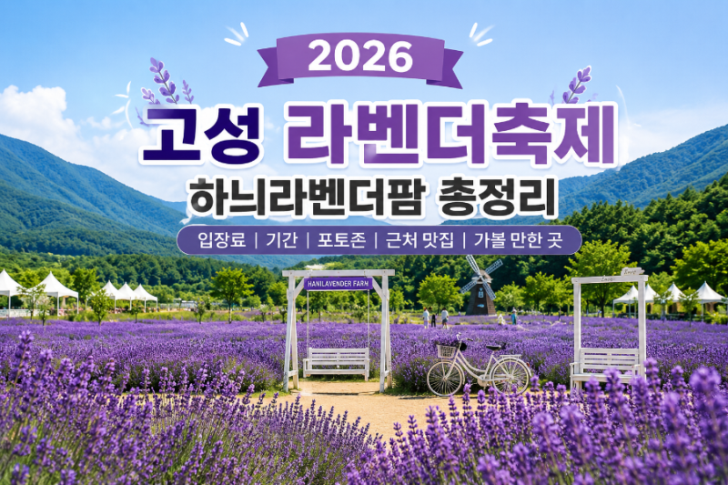 2026 고성 라벤더축제 총정리｜하늬라벤더팜 입장료·기간·주차·포토존 정보
