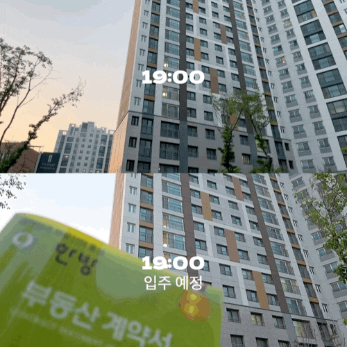 hug 청년버팀목 전세대출 타임라인 정리 실제로 받은 후기