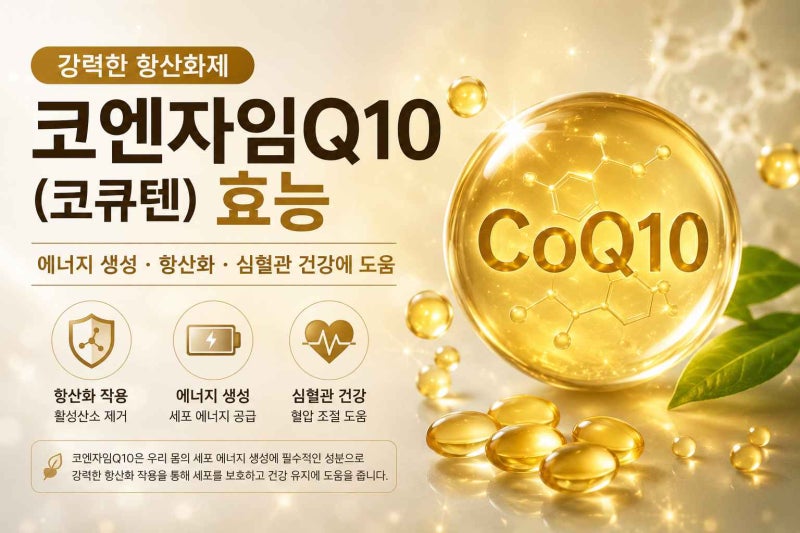 강력한 항산화제 코엔자임Q10(코큐텐) 효능과 고혈압 조절 도움 유무