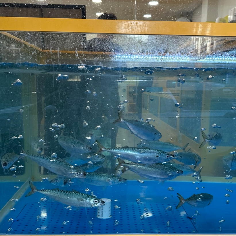 직거래회포장 사진 6